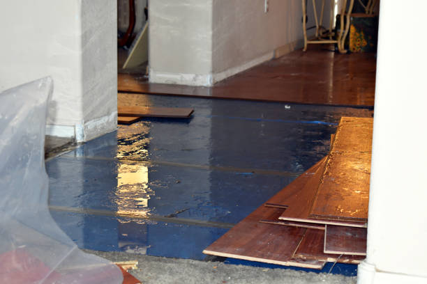 Professional Basement Flood Cleanup technician working in High Point, NC